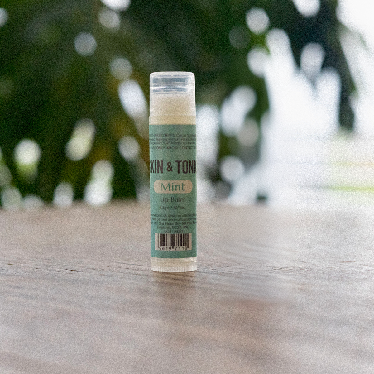 Menthe - Baume à lèvres